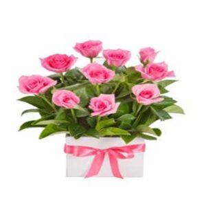 Caja de rosas Deluxe flores rosada en Cali