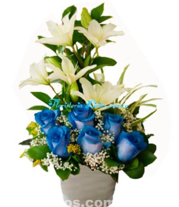 Flores Azul y Lirios Cali