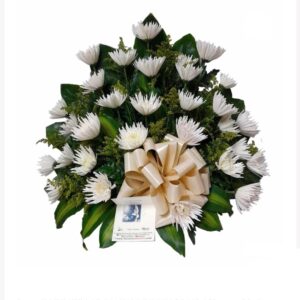 Abanico Crisantemo Económico