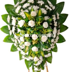 Corona Funeral en Trípode