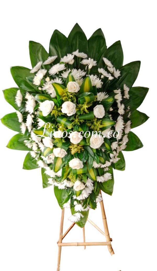Corona Funeral en Trípode