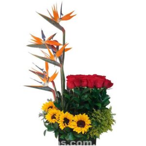 Detalles Rosas Amor y Amistad Cali