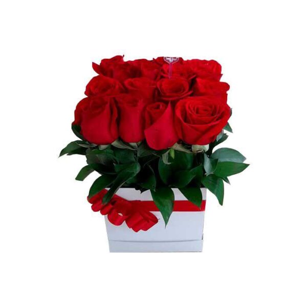 Rosas Amor y Amistad Económico