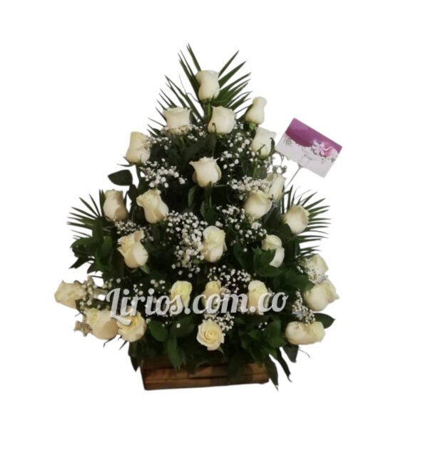 Abanico Fúnebre Económico