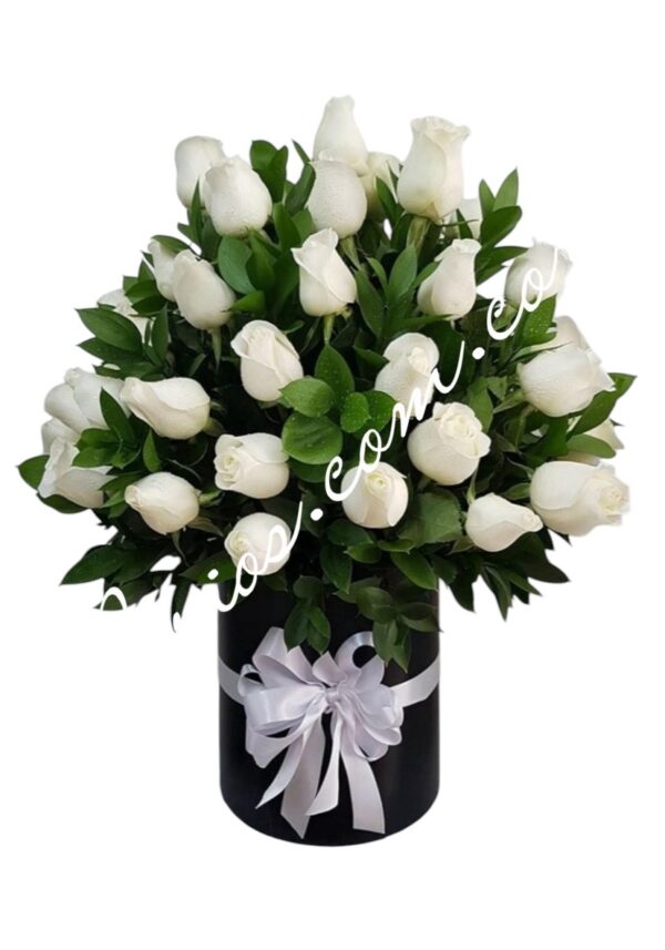 Flores Para Condolencias en Cali