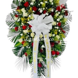 Corona Fúnebre America Cali