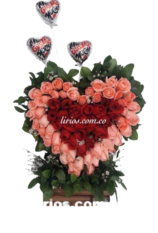 Sembrado Flores Cali Corazón