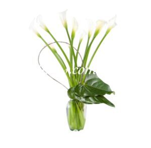 Jarrón Cartuchos Condolencias Cali