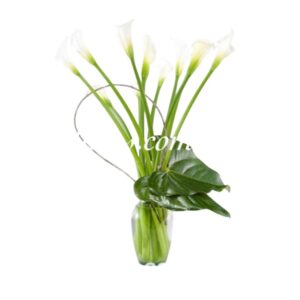 Jarrón Cartuchos Condolencias Cali