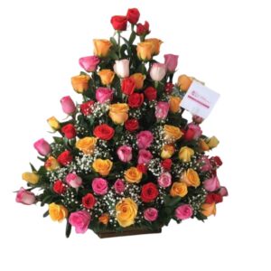 Rosas Surtida Floristeria Cali