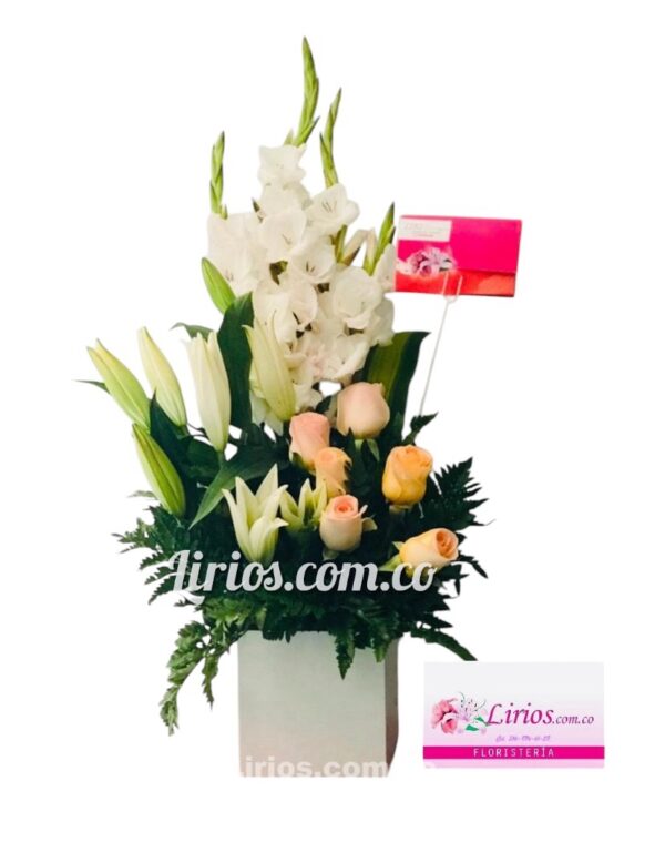Rosas en Cali Cubo Sorprendente