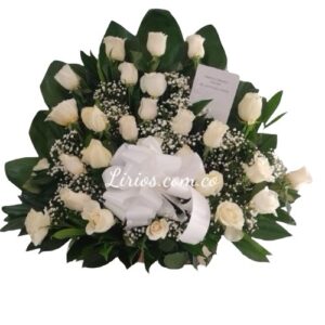 Rosas para Funeral Cali