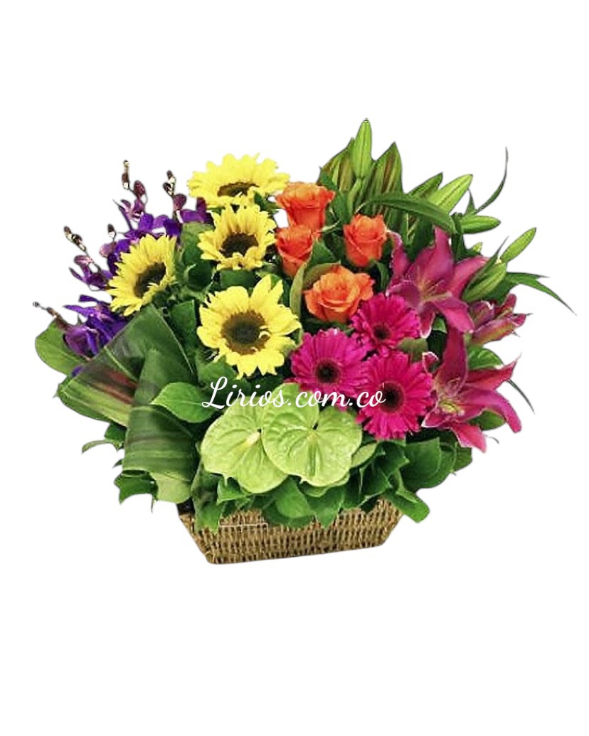 Amor infinito flores en cali