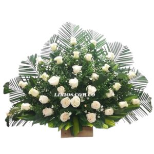 Arreglo Fúnebre Abanico Cali