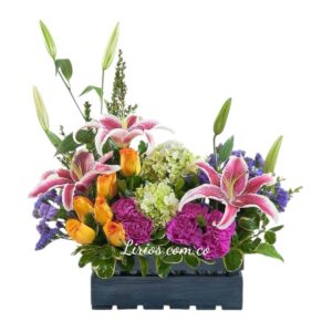 Caja exótica flores en cali Sur