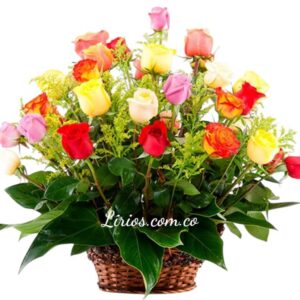 Ramos Flores Cumpleaños