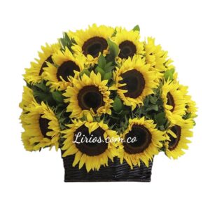 Canasta Ramo de girasoles domicilios en cali