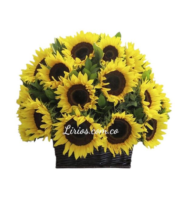 Canasta Ramo de girasoles domicilios en cali