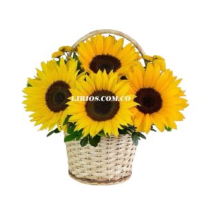 Flores Jarrones y Canastas