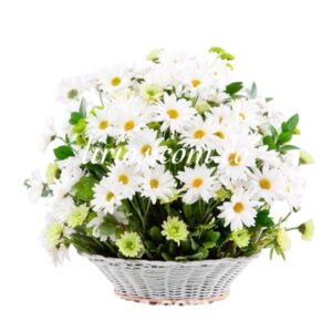 Flores Condolencias Cali