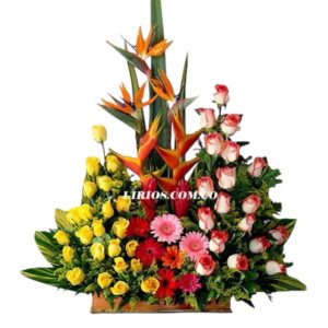 Contraste De Flores servicio domicilio en cali