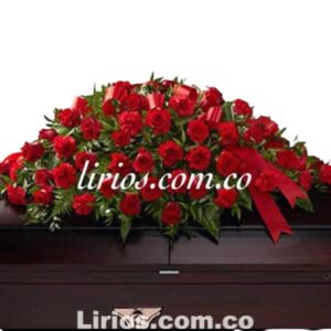 Ramos Fúnebres Cali