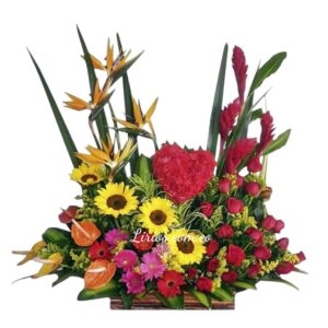 Encanto de Flores entregas en cali