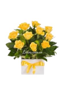 Dia Flores Amarillas