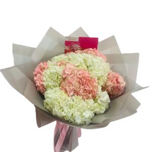 Buchón Ramillete de Hortensias