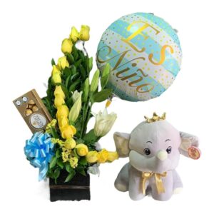 Flores Cali Nacimientos Bebe