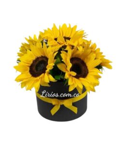 Floristeria en Cali Girasoles