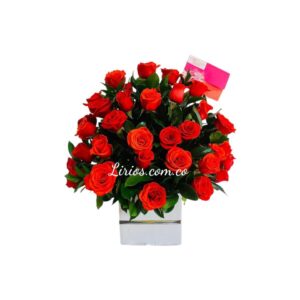 Flores cali sur Modernas