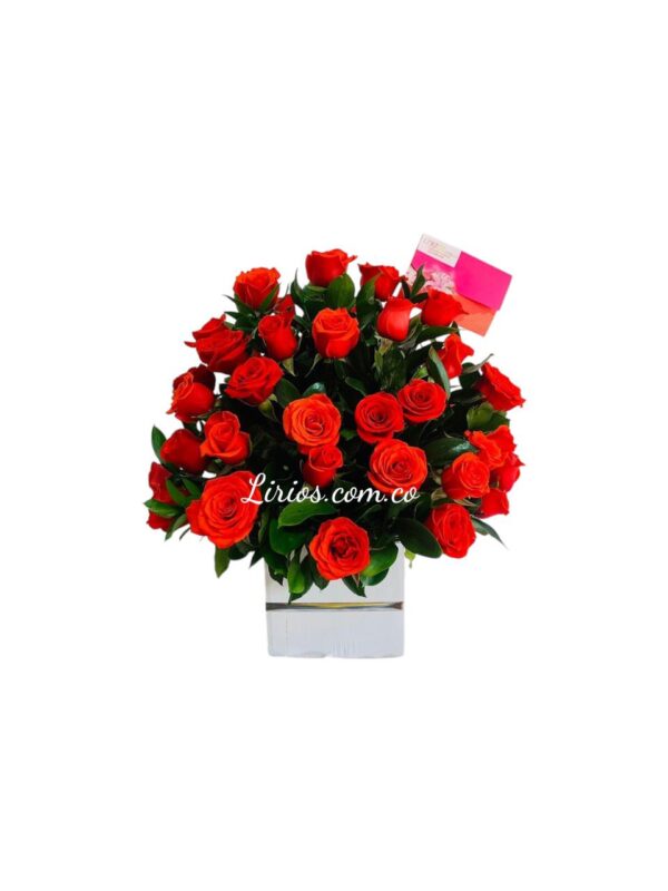 Flores cali sur Modernas