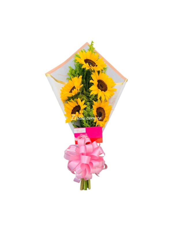 Girasoles en Cali