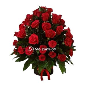 Arreglo Redondo Cali