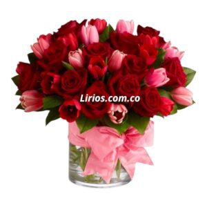 Tulipanes a Domicilio en Cali – Entrega Express