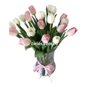 Tulipanes en Cali a Domicilio – Regalo Especial